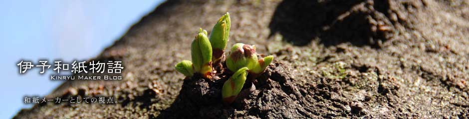 伊予和紙物語