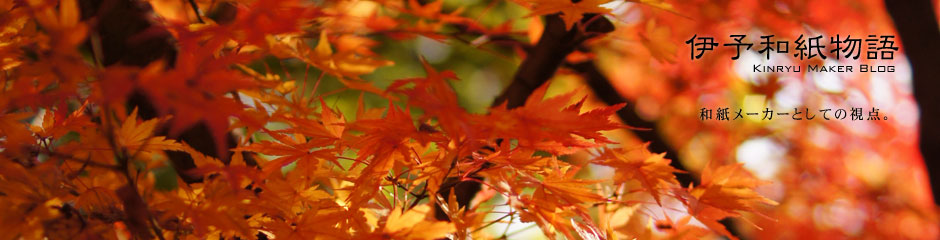 伊予和紙物語