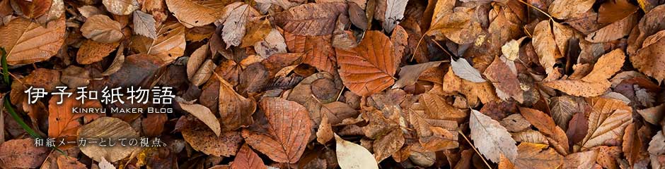 伊予和紙物語