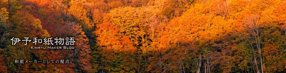 伊予和紙物語