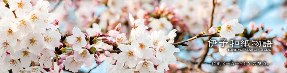 伊予和紙物語